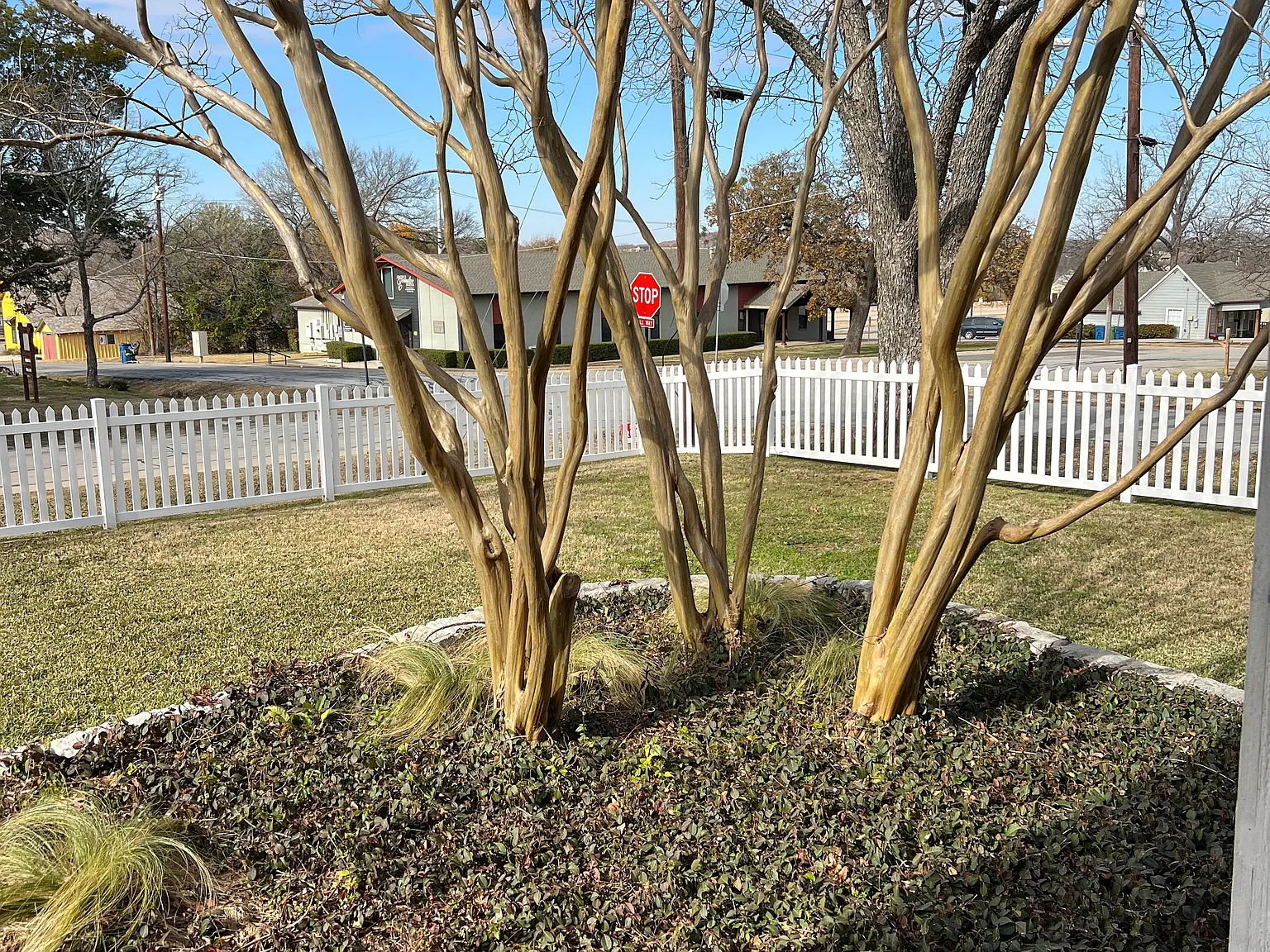 3 bed, 1674 sqft, $3,250 — Photo 4
