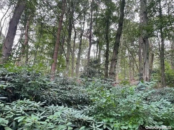 580B Duck Pond Road, Locust Valley, NY 11560