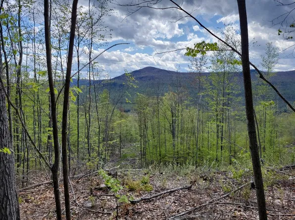 Lot 11 Swift River Route 17 Road, Byron, ME 04257