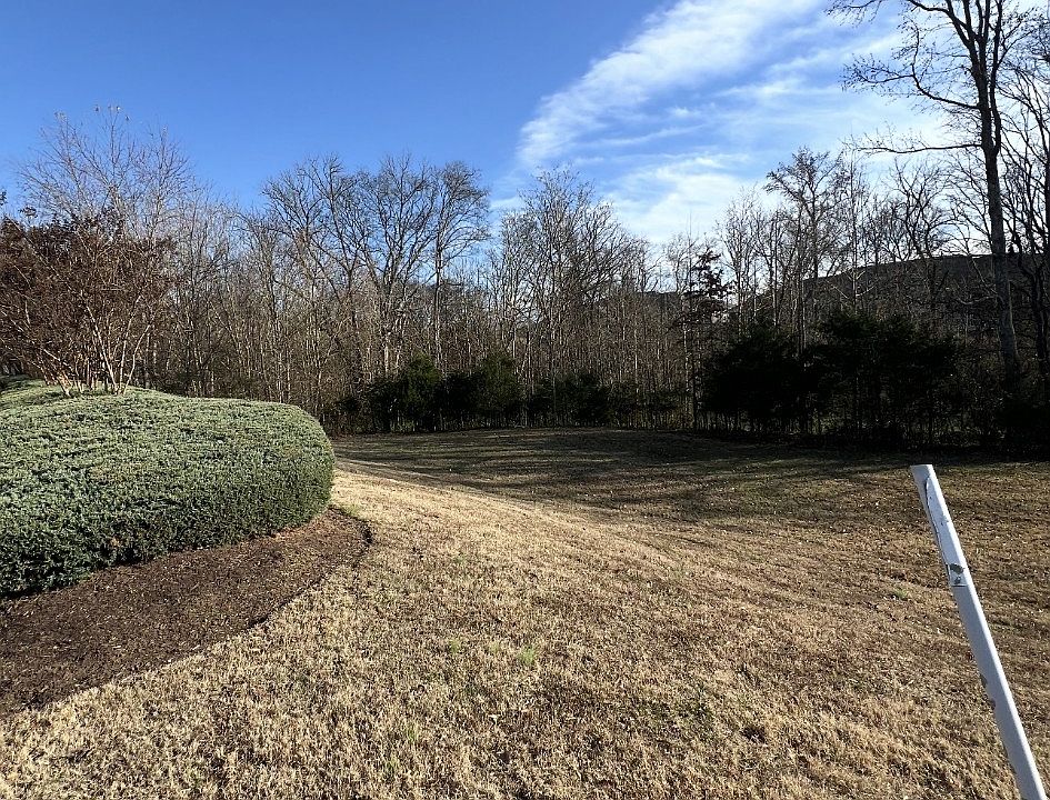 2nd image of 2704 Jasmine St