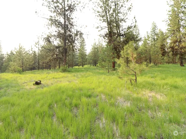 123 Sunrise Road, Oroville, WA 98844