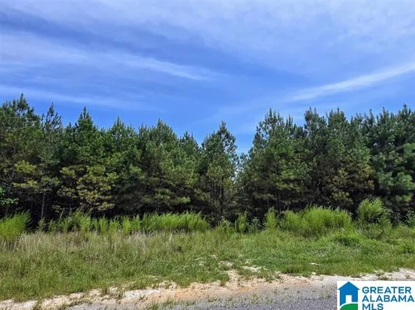 241 Shoreside Dr #66, Double Springs, AL 35553