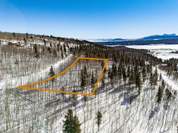 739 Ponderosa Road, Alma, CO 80420