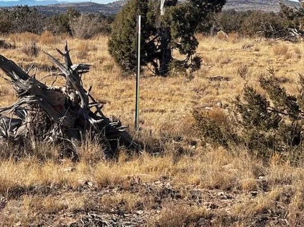 LOT 408 Hyde Park Rd, Seligman, AZ 86337