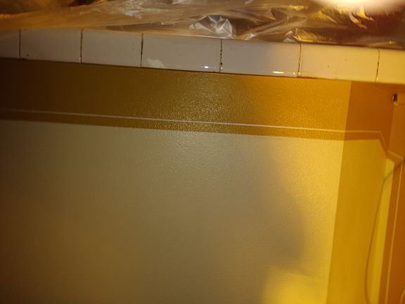 3rd image of 241 E Burrows Ln
