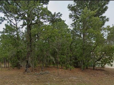 1485 W Lamplighter St Lot 4, Dunnellon, FL, 34434
