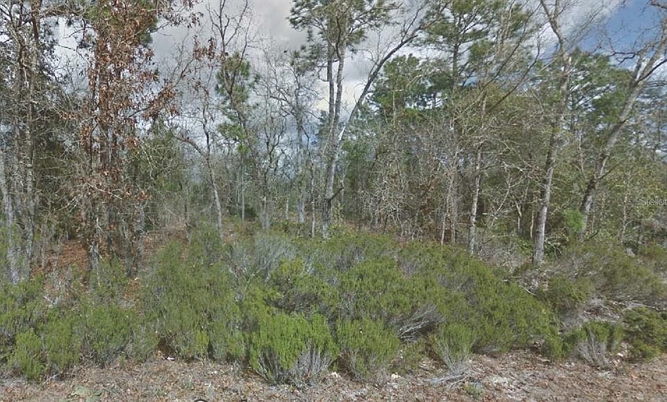 1st image of 217 Cypress St #12