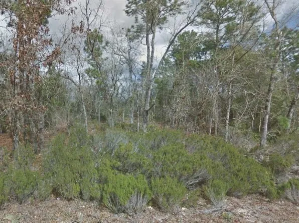 217 Cypress St #12, Interlachen, FL 32148