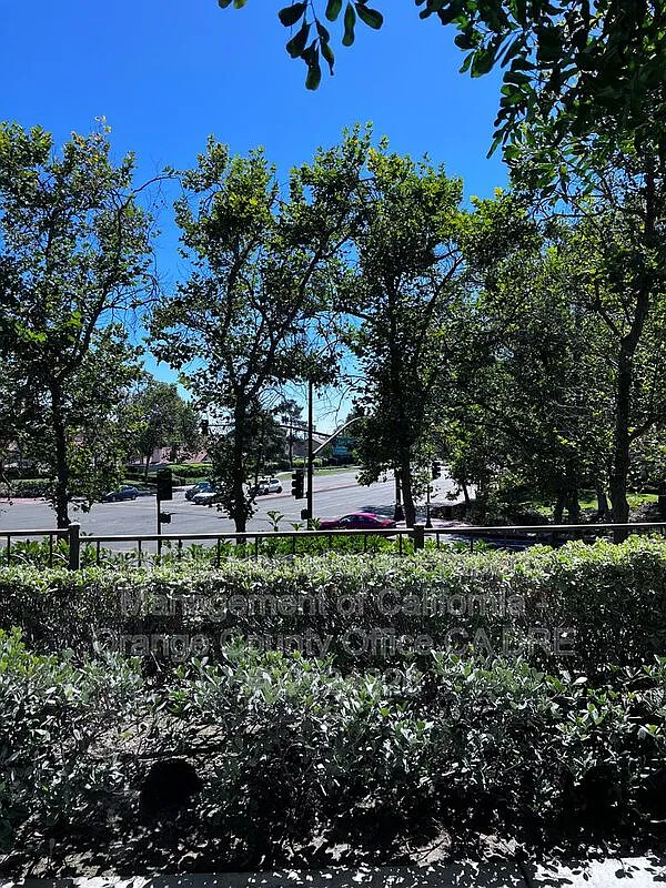 3 bed, 2.0 bath, 1344 sqft, $3,700 — Photo 3