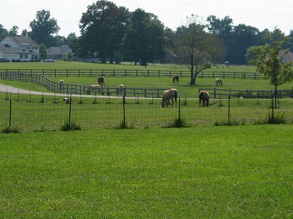 View from Front/Side