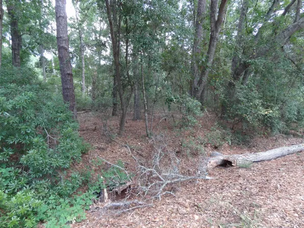 8 Rock Springs Dr, Beaufort, SC 29907