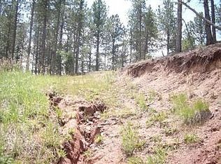 1200 Cottontail Trl, Woodland Park, CO 80863