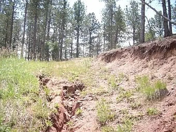 1200 Cottontail Trl, Woodland Park, CO 80863