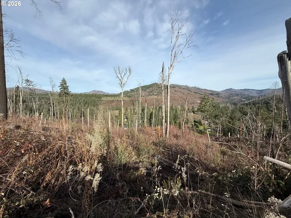 Cascade View Dr #1, Vida, OR 97488