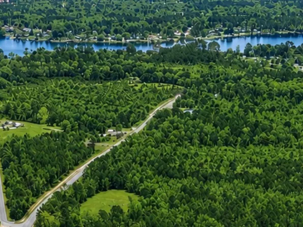 7082 Mw Rickenbaker Rd, Summerton, SC 29148