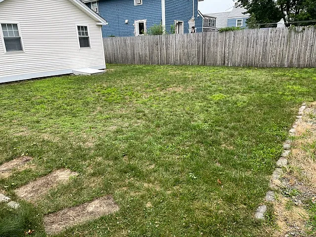 Good-sized grassy backyard