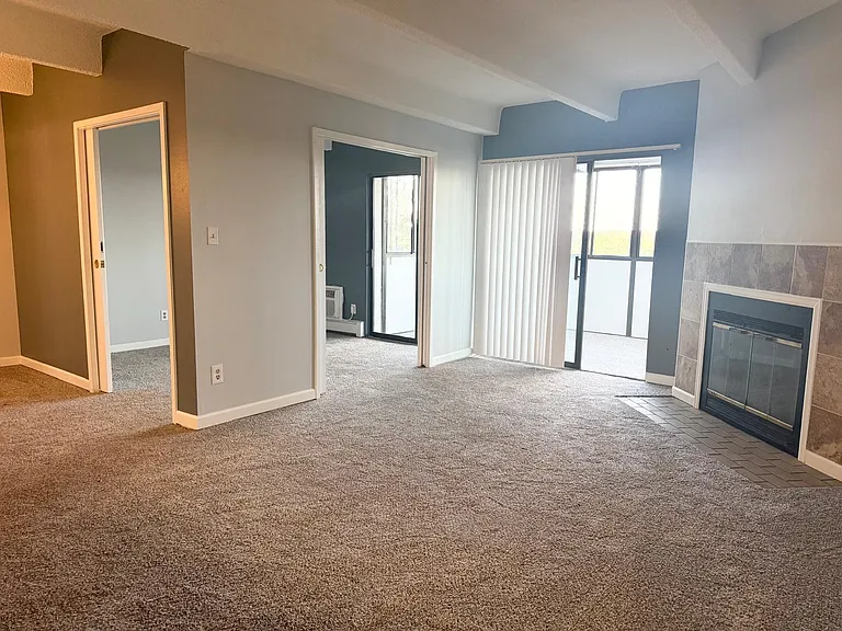 1011 S Ironton St #403 — Photo 9
