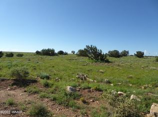 468-111 22 #3, Heber, AZ 85928