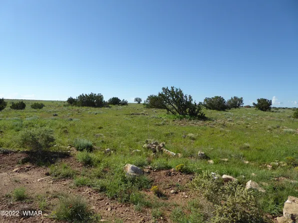 468-111 22 #3, Heber, AZ 85928