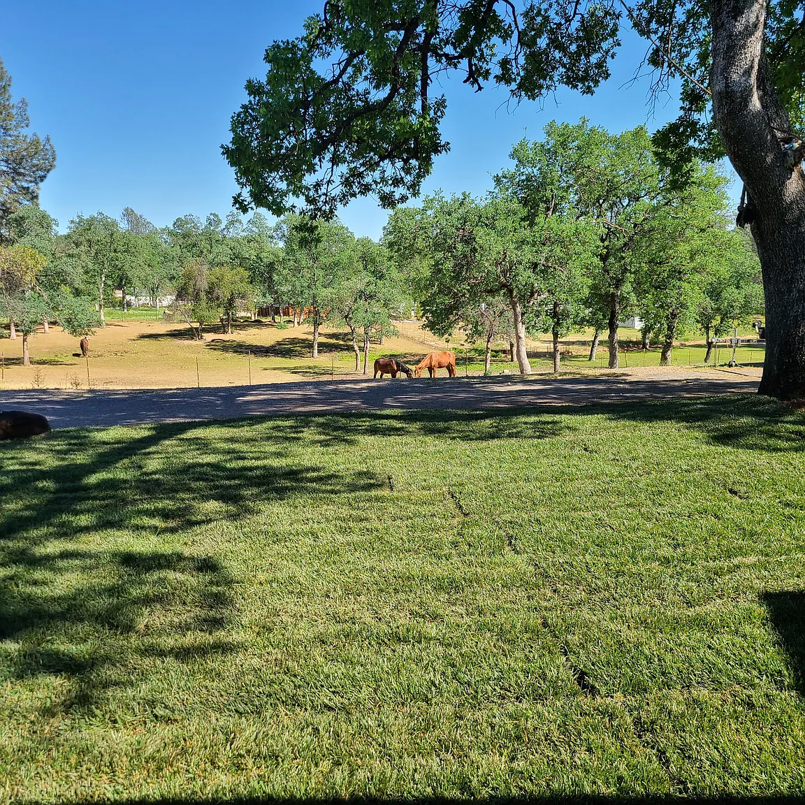 18209 Knoll Ln photo 1
