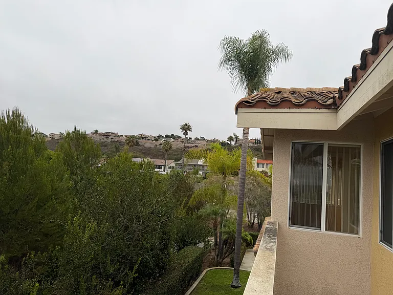 6833 Urubu St — Photo 36