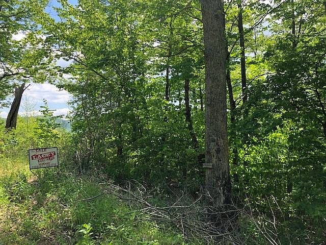 1st image of Squirrel Hollow Ln