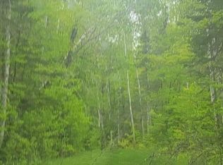 42275 Camp Eatmore Rd, Barnes, WI 54873