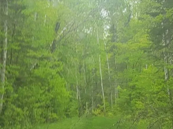 42275 Camp Eatmore Rd, Barnes, WI 54873