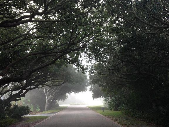 4th image of 4403 Sea Mist Dr #1110