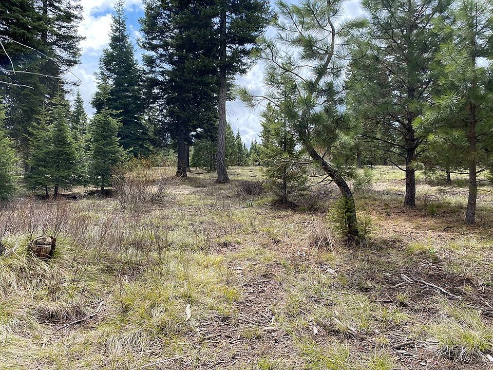 2nd image of 15 Sundance Dr