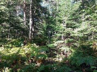 0 W Old Chip Rd, Paradise, MI 49768