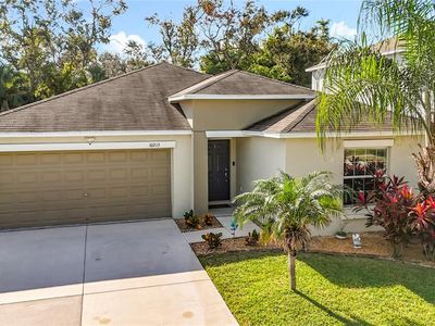 10215 Shimmering Koi Way, Riverview, FL, 33578