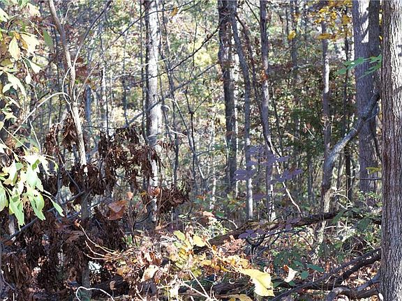 5th image of Newburgh Ln