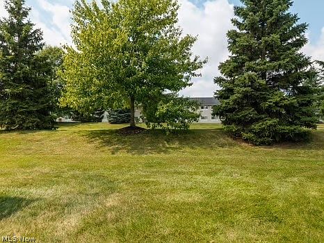 5th image of 132 Arrow Ct