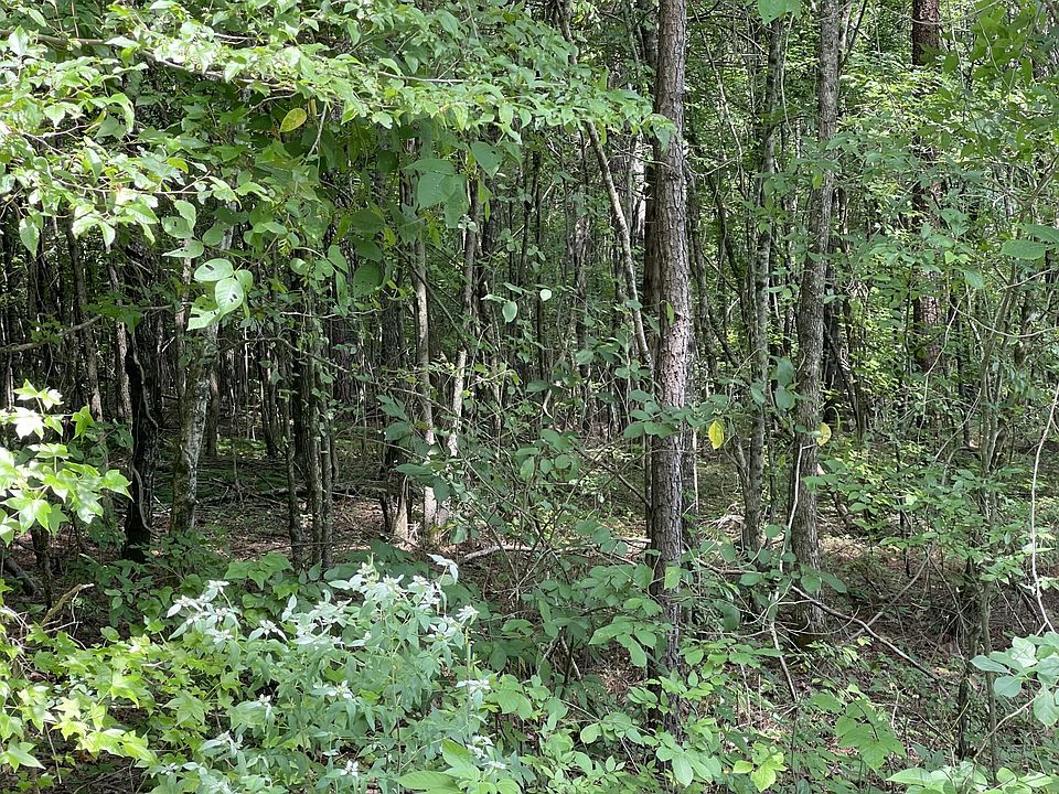 2nd image of 502 County Road 285