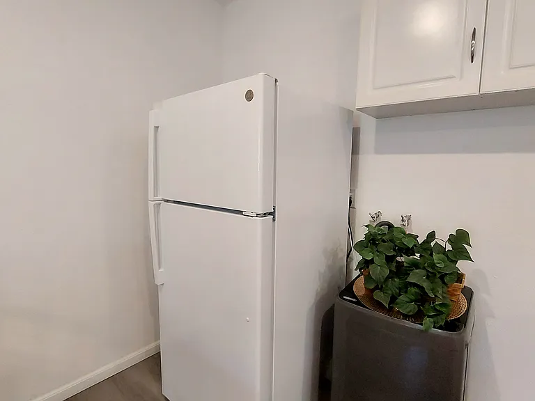 New General Electric Fridge (no frost)