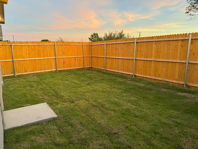 Backyard - 1