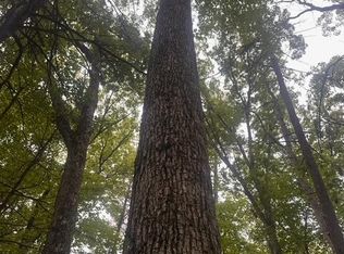 0 E Meinert Rd, Holton, MI 49425