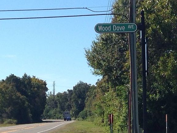 3rd image of 113 Wood Dove Ave