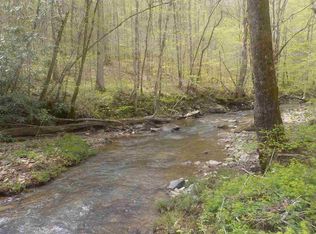 1300 Snake Hollow Rd, Sneedville, TN 37869