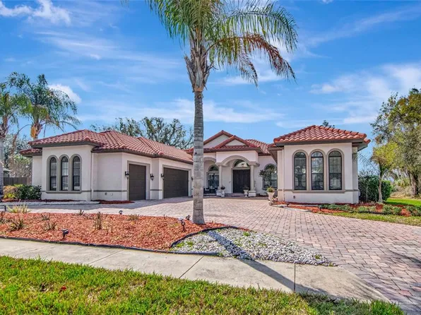 1022 Emerald Creek Dr, Valrico, FL 33596