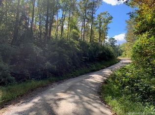 0 Wolf Trl #119, Lake Lure, NC 28746