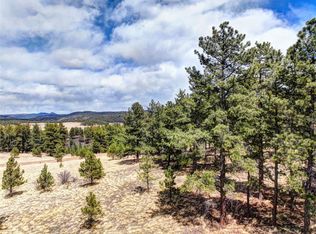 206 Steel Bit Dr, Florissant, CO 80816
