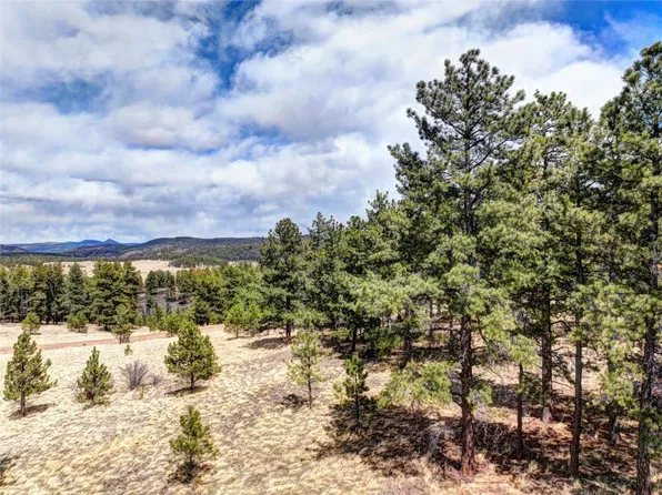 206 Steel Bit Dr, Florissant, CO 80816