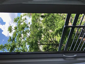 Rented by GTM Property Group 