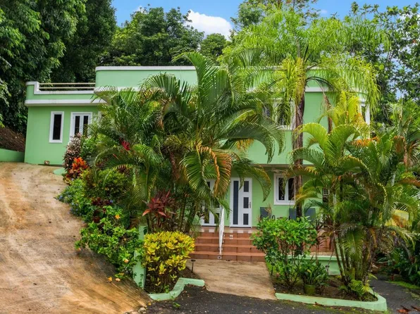 Bo Rio Grande Carr 400 Km 1.3 Int, Rincon, PR 00677