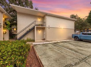 1011 S MOODY AVENUE #11, TAMPA, FL 33629