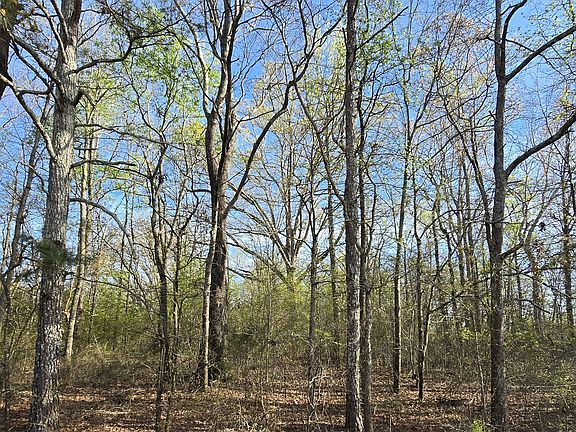 2nd image of 0 Willis Glenn Rd