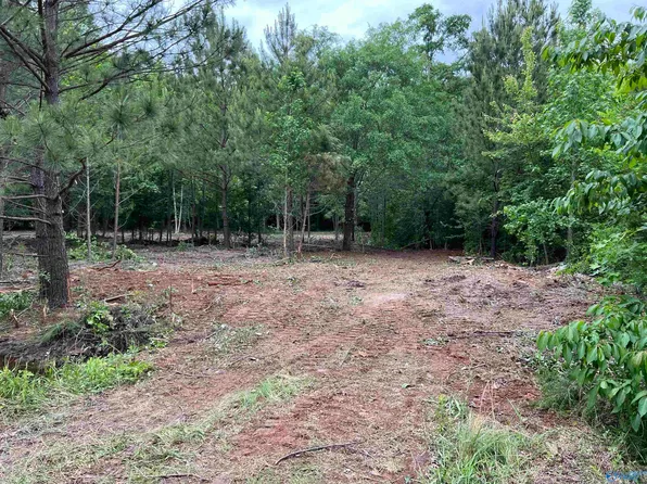 113 Whitfield Dr, Toney, AL 35773