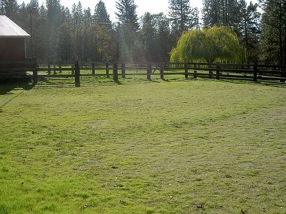 pasture